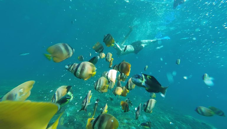 snorkling 1